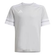 adidas Spillerdrakt Squadra 25 - Lysegrå/Hvit Barn