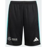 Adidas Mercedes - AMG Petronas Formula One Team DNA Shorts Kids