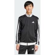 Adidas 3-Stripes Tricot Regular Fit Colorblock Track Jacket