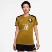 Holland Trenings T-Skjorte Dri-FIT Strike Kvinne EM 2025 - Gull Suede/...
