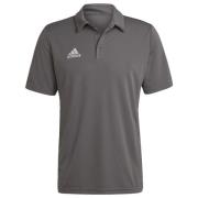 adidas Polo Entrada 22 - Grå
