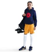 Nike Treningsshorts Dri-FIT Academy 25 Erling Haaland - Gull/Svartblå ...