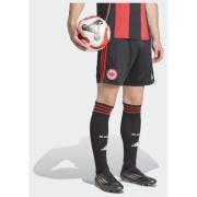 Adidas Eintracht Frankfurt 25/26 Home Shorts