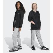 Adidas Originals Pants