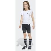 Adidas Originals LACE CYCLING SHORT TEE SET