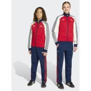 Adidas Arsenal FC OG Track Pants Kids