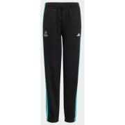 Adidas MERCEDES - AMG PETRONAS FORMULA 1 TEAM DNA PANT