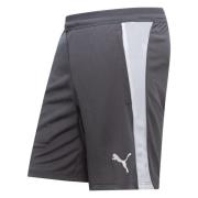 PUMA Treningsshorts teamFINAL 26 - Grå/PUMA White