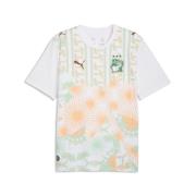 Elfenbenskysten Bortedrakt World Cup 2026