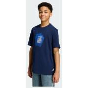 Adidas Originals LOOSE TEE FIREBIRD